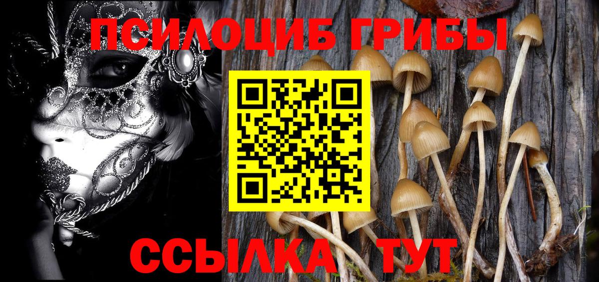 Галлюциногенные грибы ЛСД Чистополь