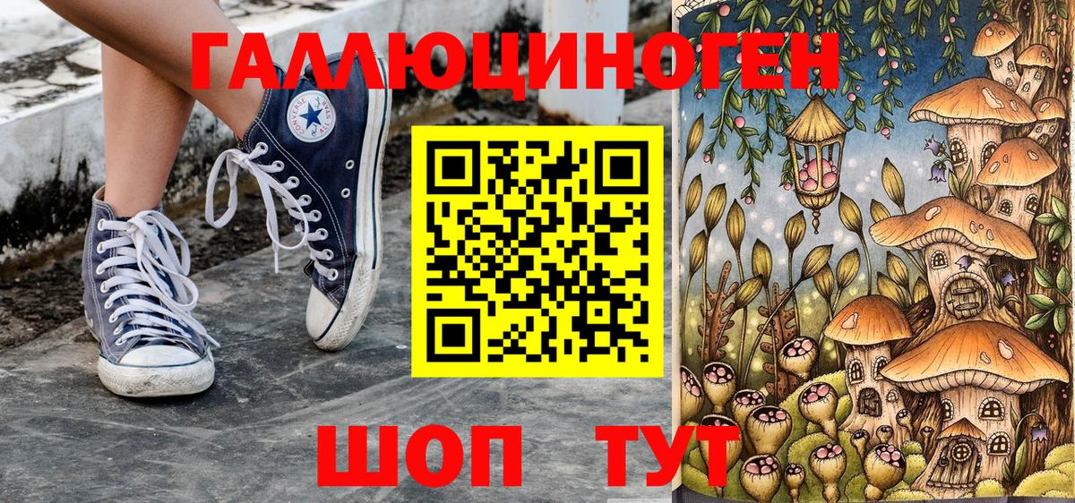 Чистополь  Галлюциногенные грибы мицелий  Вход с VPN 